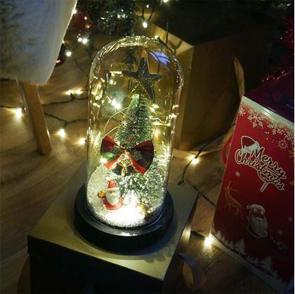 Obrázek z Svítící vánoční stromeček ve skleněné váze v dárkovém balení