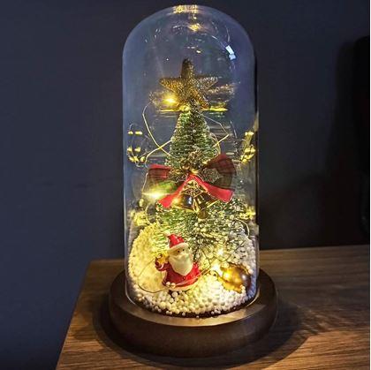 Obrázek z Svítící vánoční stromeček ve skleněné váze v dárkovém balení