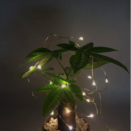 Obrázek z Světelný řetěz s dálkovým ovladačem, barevné/teplé/studené světlo, 5 m