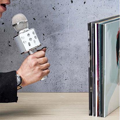 Obrázek Bezdrátový karaoke mikrofon s reproduktorem a Bluetooth stříbrný