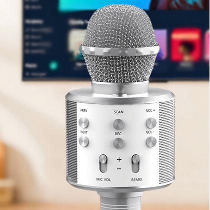 Obrázek z Bezdrátový karaoke mikrofon s reproduktorem a Bluetooth stříbrný