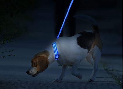 Obrázek z Svítící obojek - modrý S