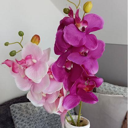 Obrázek Umělé květiny orchidej