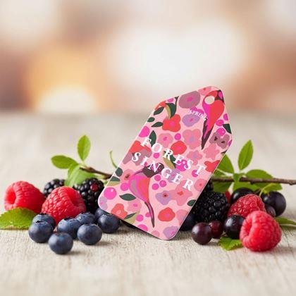 Obrázek z Aroma vůně do auta  - lesní plody