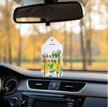 Obrázek z Vonítko do auta  - borovice