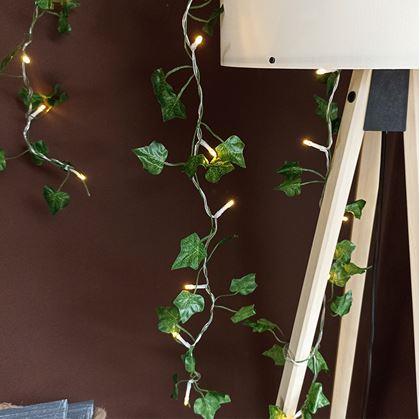 Obrázek z Světelný řetěz 2 m - zelené listy