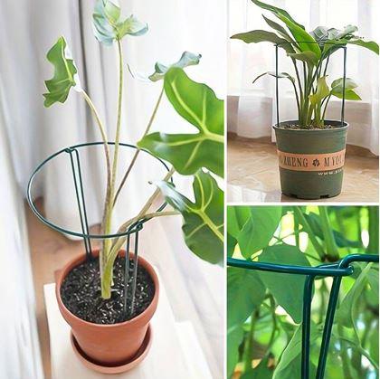 Obrázek z 2 ks Kovové podpěry rostlin 40 cm