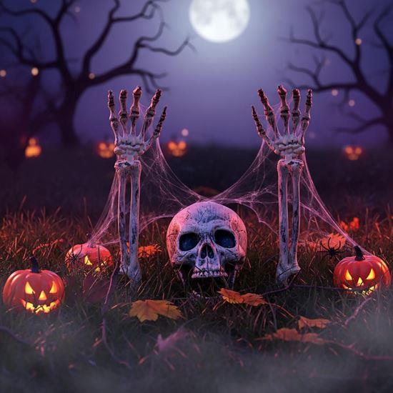 Obrázek z Dekorace na zahradu - kostlivec