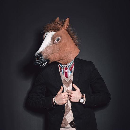 Obrázek z Maska - hlava koně