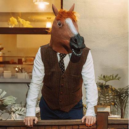 Obrázek z Maska - hlava koně