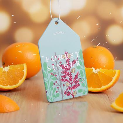 Obrázek z Aroma vůně do auta  - pomeranč