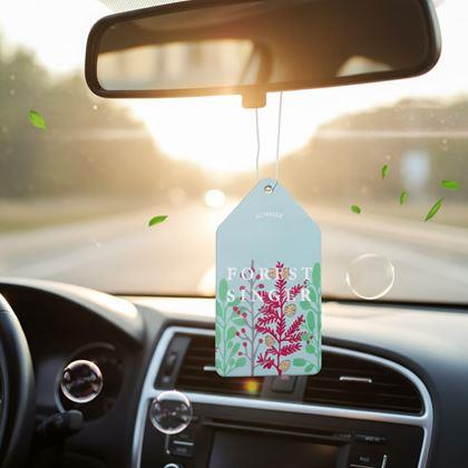 Obrázek z Aroma vůně do auta  - pomeranč