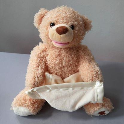 Obrázek Interaktivní mluvící medvídek