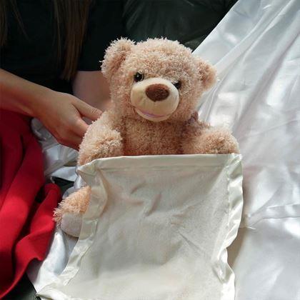 Obrázek z Interaktivní mluvící medvídek