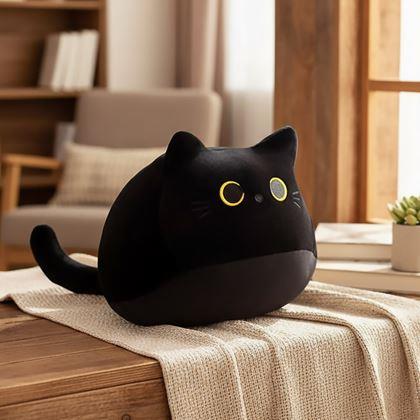 Obrázek z Polštář černá kočka