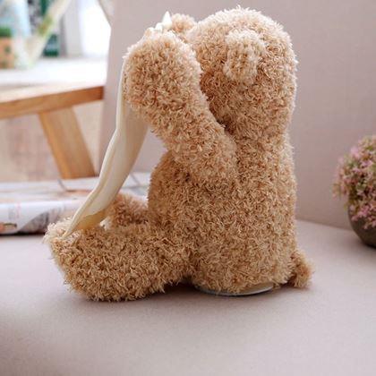 Obrázek z Interaktivní mluvící medvídek