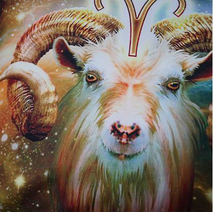 Obrázek z Povlak na polštářek znamení - beran