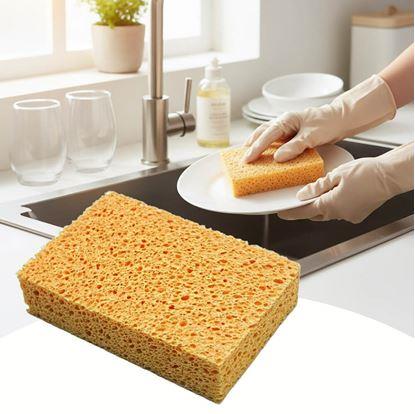 Obrázek Přírodní eko houbička na nádobí