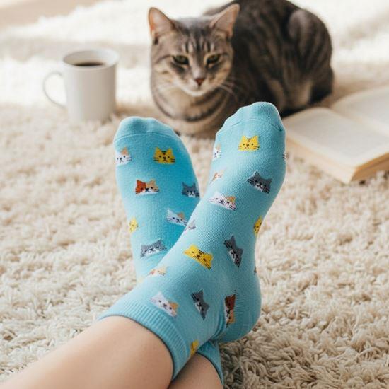 Obrázek z Ponožky s kočičkami - modré