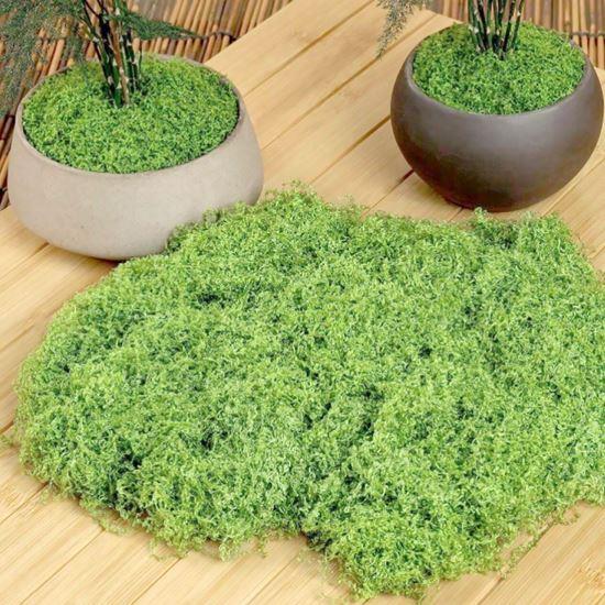 Obrázek z Umělý mech 32 g