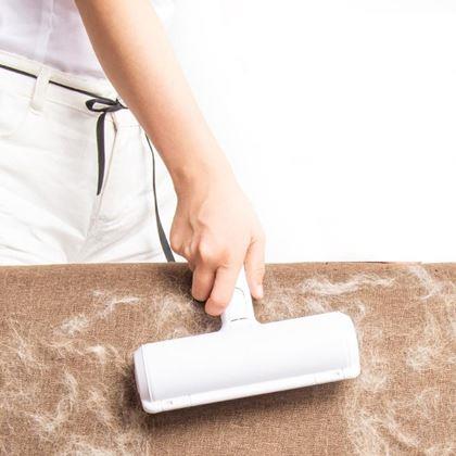 Obrázek z Odstraňovač zvířecích chlupů