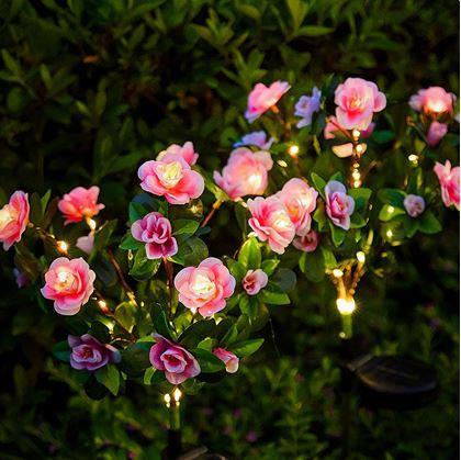 Obrázek z Solární kytice