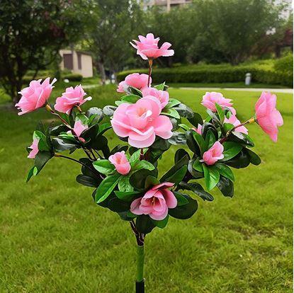 Obrázek Solární kytice