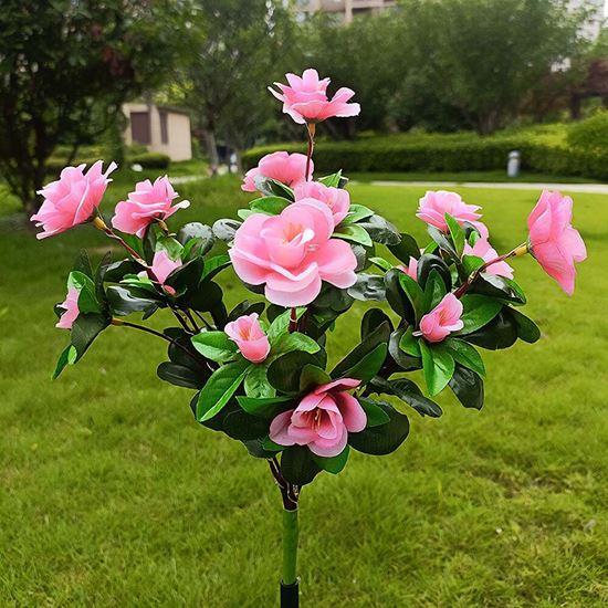 Obrázek z Solární kytice