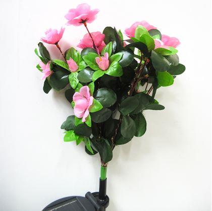 Obrázek z Solární kytice