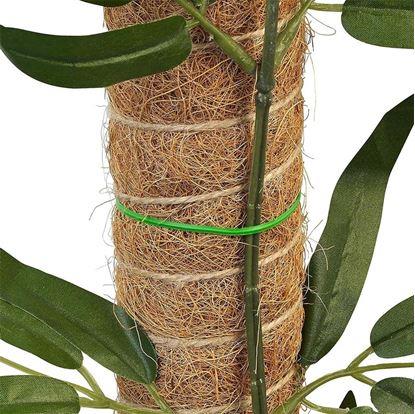 Obrázek Opora pro popínavé rostliny