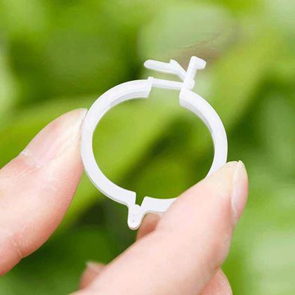 Obrázek z Klipy/pásky pro uchycení rostlin 50 ks