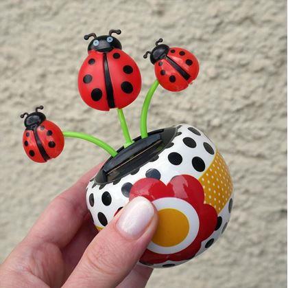 Obrázek z Solární květina - beruška