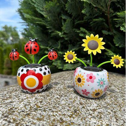 Obrázek z Solární květina - beruška