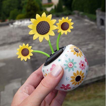 Obrázek z Solární květina - slunečnice