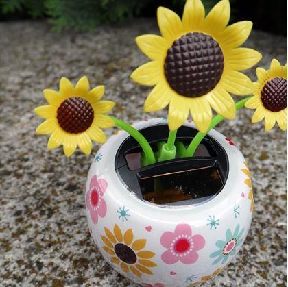 Obrázek z Solární květina - slunečnice