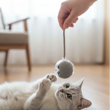 Obrázek z Nabíjecí pohyblivý míček pro zvířata