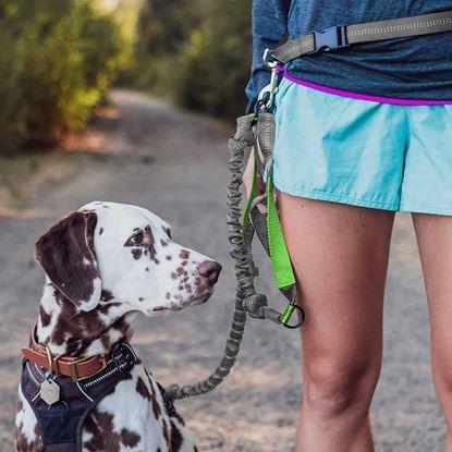 Obrázek Multifunkční běžecké vodítko