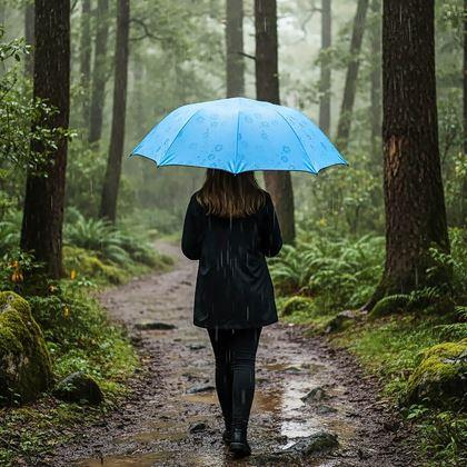 Obrázek z Magický deštník skládací - modrý