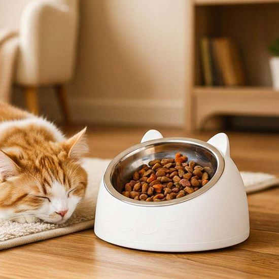 Obrázek z Miska pro kočky 2v1