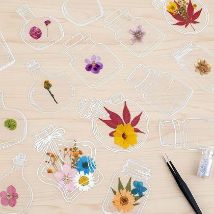 Obrázek z DIY herbář - samolepky na sušené květiny 