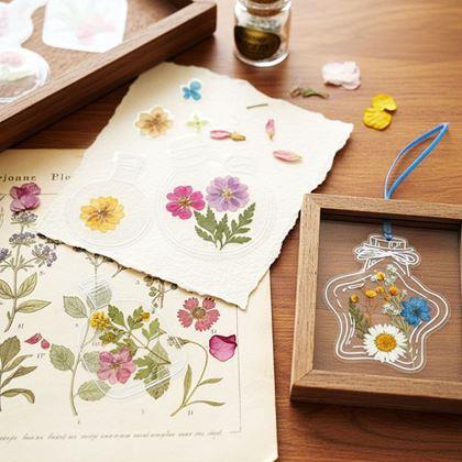 Obrázek z DIY herbář - samolepky na sušené květiny 