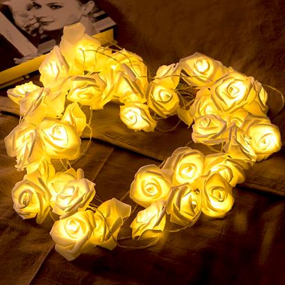 Obrázek LED světelný řetěz na baterie s růžičkami – 20 květů