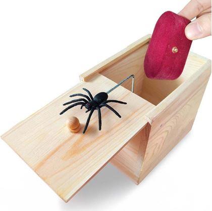 Obrázek z Pavouk v krabičce