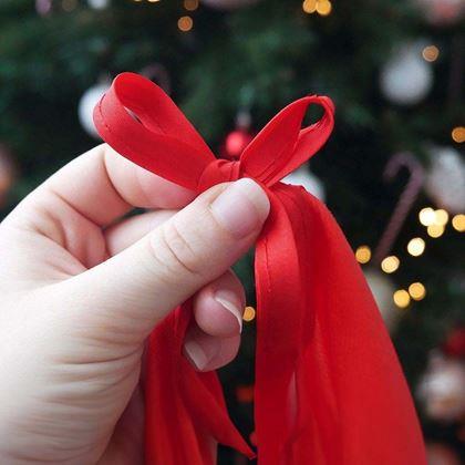 Obrázek z Sukně pod vánoční stromeček - les