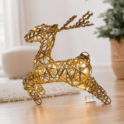 Obrázek Vánoční LED osvětlení jelen